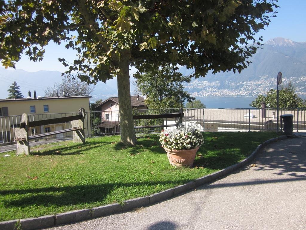 Orgnana * Gambarogno